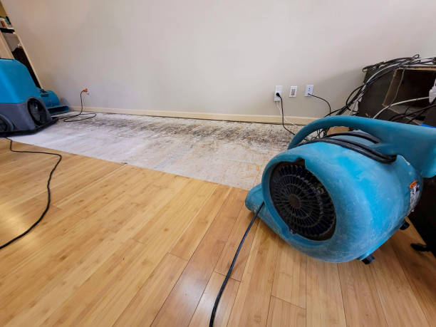 Reliable Basement Flood Cleanup contractor in Sealy, TX by Hirex Water Damage