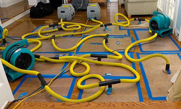 Professional Basement Flood Cleanup technician working in Sealy, TX